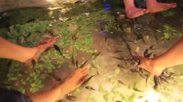 Очистка кожи ноги рыбы — стоковое видео