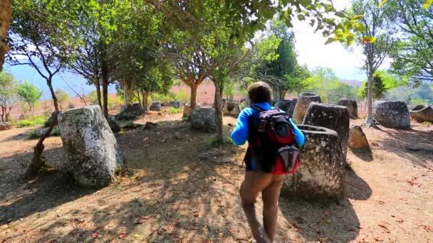 Mochileiro visitando planície de frascos — Vídeo de Stock