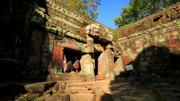 Turyści odwiedzają świątyni Ta Prohm — Wideo stockowe