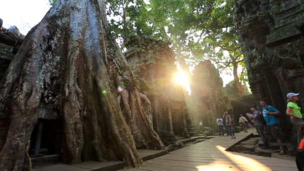 Turistler Ta Prohm tapınağı ziyaret — Stok video