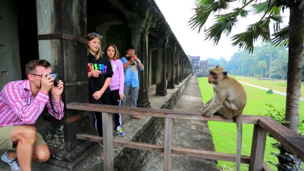 Turistler maymun ateş — Stok video