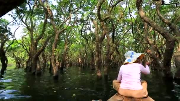 Mulher rema um barco através da floresta — Vídeo de Stock