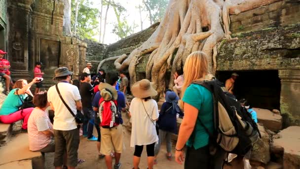 Turistit vierailevat Ta Prohm temppeli — kuvapankkivideo