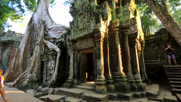 Los turistas visitan el templo de Ta Prohm — Vídeos de Stock