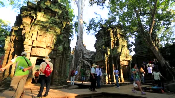Los turistas visitan el templo de Ta Prohm — Vídeo de stock