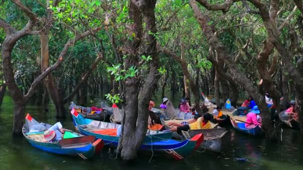 Turistler için taksi tekneler — Stok video