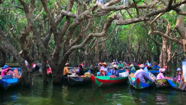 Taxi boats for tourists — Stock Video