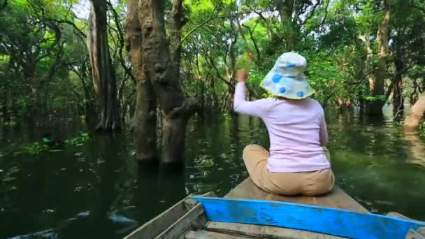 Mujer remando un bote a través del bosque — Vídeo de stock