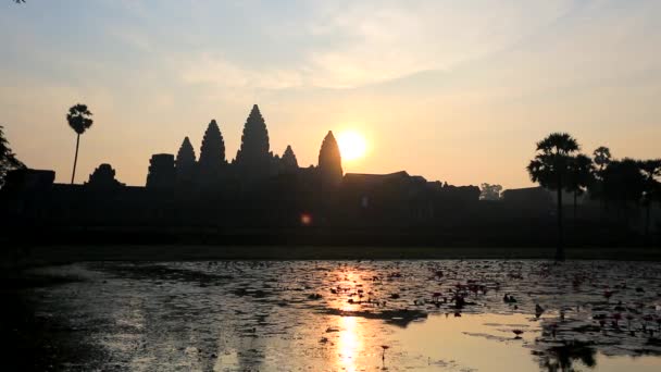 Angkor Wat Tapınağı'nda gündoğumu — Stok video