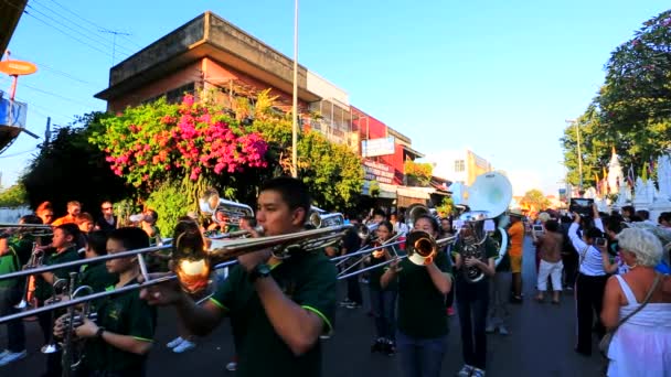 38th Anniversary Chiang Mai Flower Festival — Stock Video