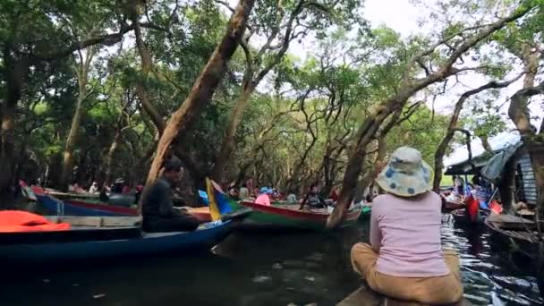 Женщина плывет на лодке через лес — стоковое видео