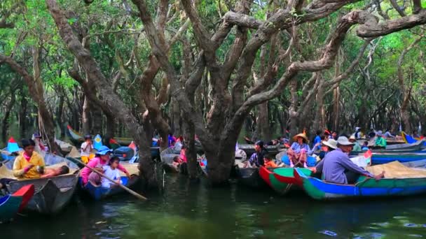 Taxi boats for tourists — Stock Video