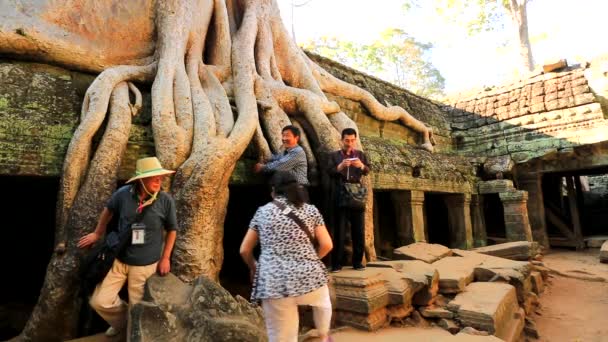 Туристи відвідують храм Ta Prohm — стокове відео