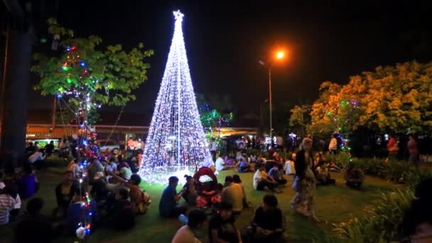 People celebrating New Year — Stock Video