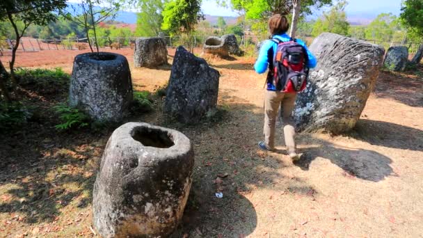 Backpacker visiting plain of Jars — Stock Video