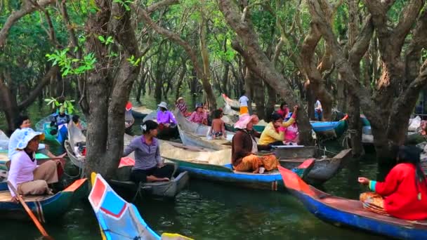 Taxi boats for tourists — Stock Video