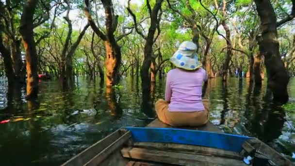 Mujer remando un bote a través del bosque — Vídeo de stock