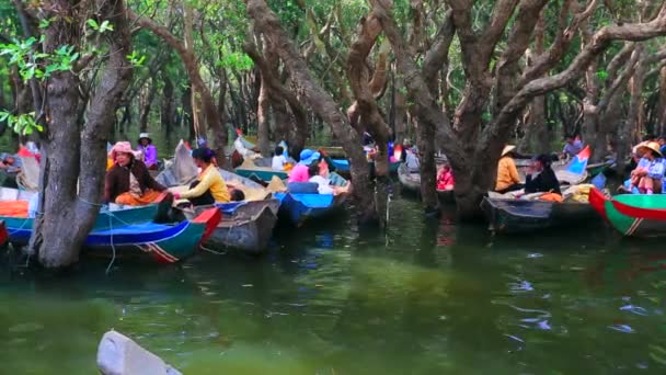 Taxi boats for tourists — Stock Video