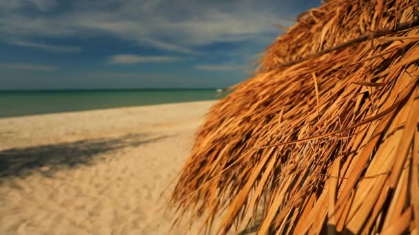 Солом'яна парасолька на пляжі — стокове відео
