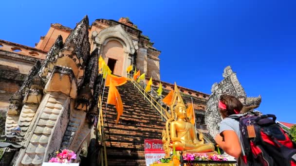 Wat Chedi Luang temple — Stock Video