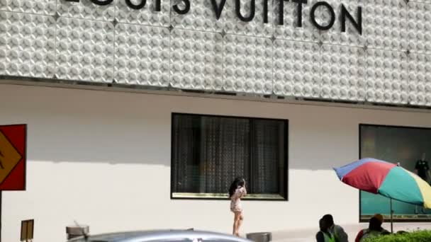 在吉隆坡举行的 Louis Vuitton 店 — 图库视频影像