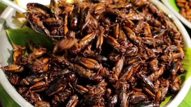 Fried grasshoppers on the market — Stock Video