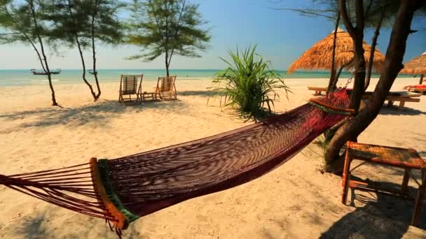 Hammock on the tropical beach — Stock Video