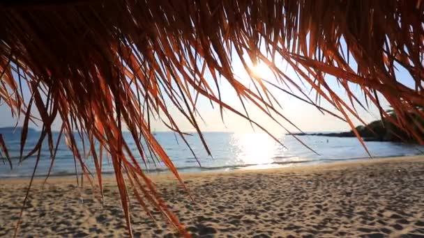 Sombrilla de playa de paja — Vídeo de stock