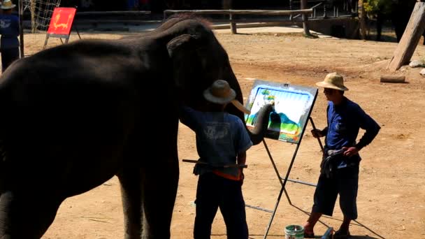 Elephant artist painting — Stock Video