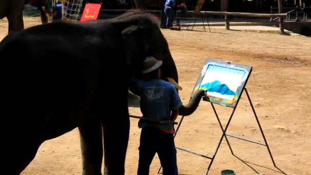 Elephant artist painting — Stock Video