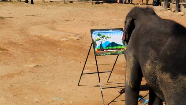 Slon umělec maluje — Stock video