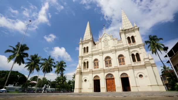 Basiliek van Santa cruz — Stockvideo