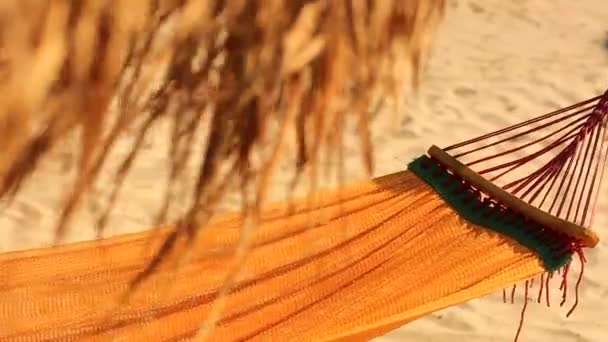 Hammock under straw umbrella — Stock Video