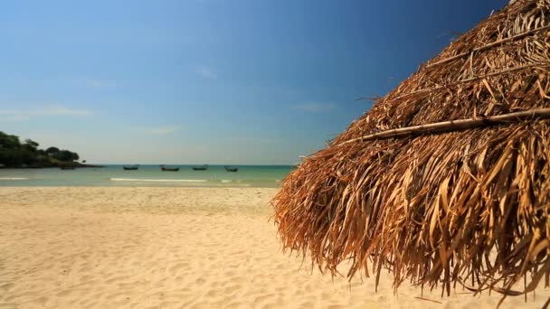 在海滩上的稻草伞 — 图库视频影像