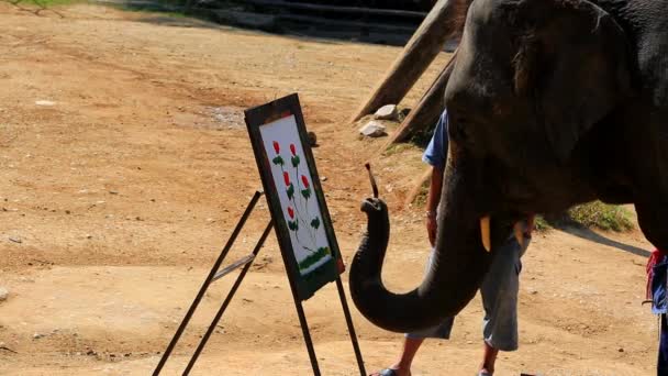 Elefante artista pintura — Vídeo de stock