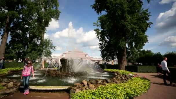 Personnes visitant la fontaine — Video