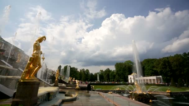 Samson fountain at Peterhof — Stock Video