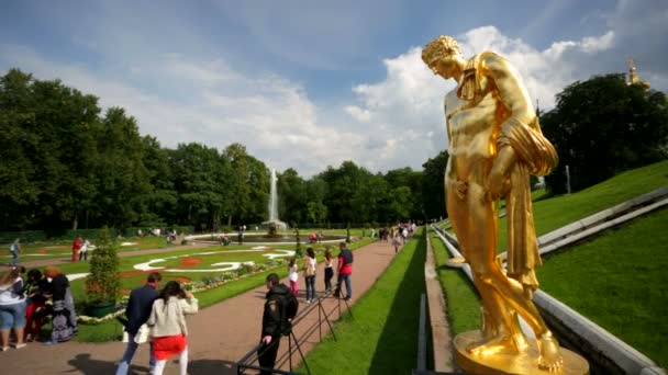 Statuen der großen Kaskade — Stockvideo