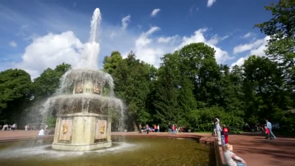 Personnes visitant la fontaine — Video