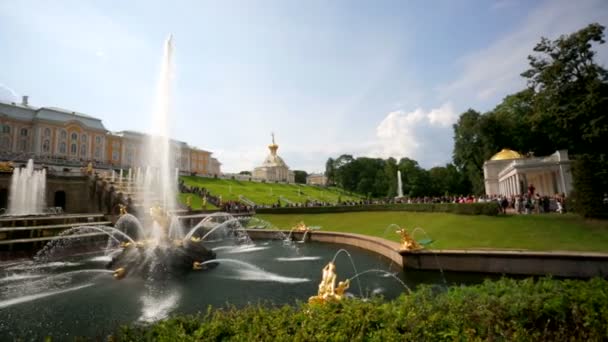 Fontana di Sansone al Peterhof — Video Stock
