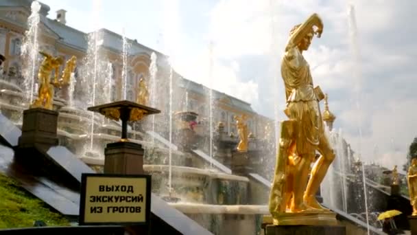 Fuente de Sansón en Peterhof — Vídeo de stock