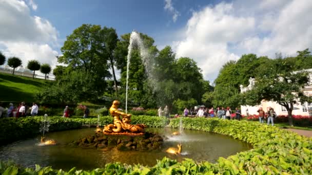 Menschen besuchen Brunnen — Stockvideo