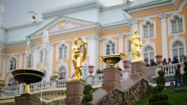 Statues of Grand Cascade fountain — Stock Video