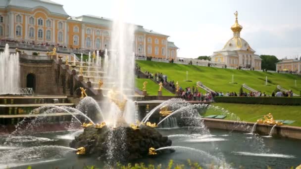 Fuente de Sansón en Peterhof — Vídeo de stock