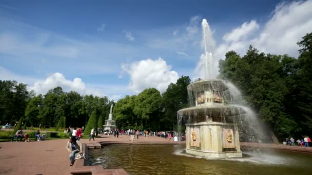 Personnes visitant la fontaine — Video