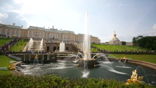 Fuentes en Peterhof — Vídeo de stock