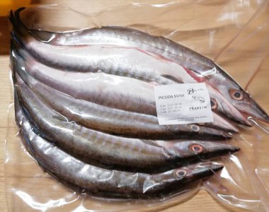 pescado picuda empacado al vacio