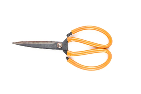 Scissors — Stock Photo, Image