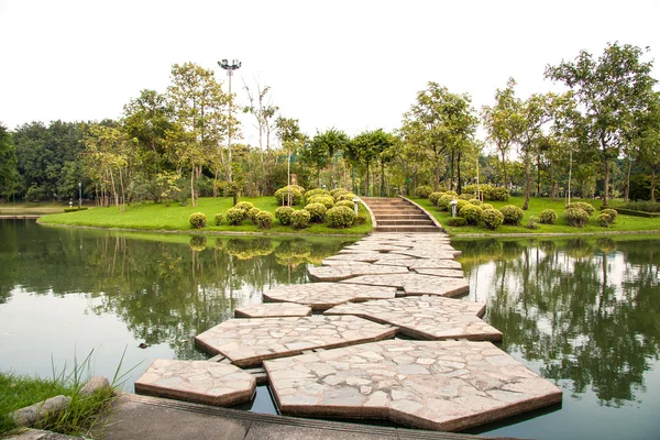 Path in the garden — Stock Photo, Image