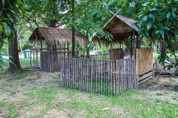 Hut in the forest — Stock Photo, Image